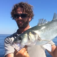 Hôtel les Bartavelles & Spa